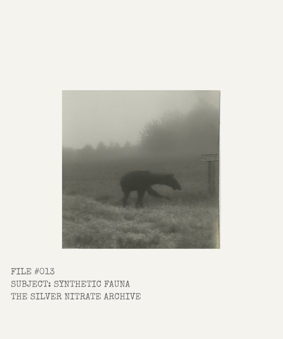 A black-and-white photograph of a horse grazing in a foggy field, captioned below with 'FILE #013', 'SUBJECT: SYNTHETIC FAUNA', and 'THE SILVER NITRATE ARCHIVE'.