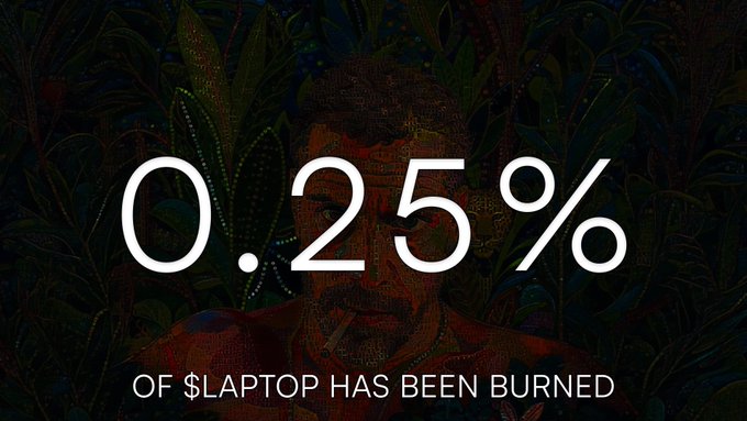 A graphic displaying the text '0.25%' with the caption 'OF $LAPTOP HAS BEEN BURNED' overlaid on a dark, patterned background featuring a faint face and foliage.