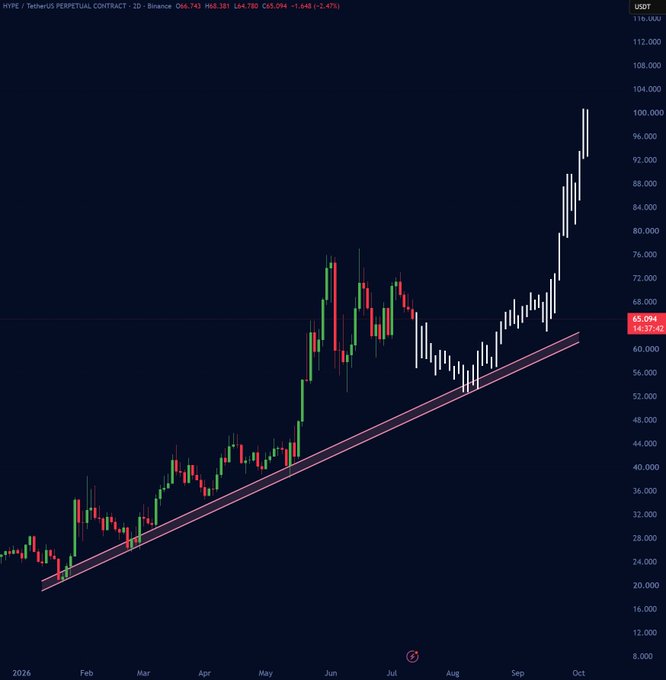 A financial chart showing the price of HYPE / TetherUS perpetual contract, displaying a strong uptrend from around $20,000 in early 2026 to over $96,000 in October.