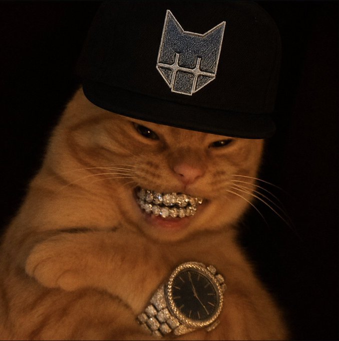 A digital artwork of a cat wearing a black baseball cap with a logo, diamond-encrusted grillz on its teeth, and a luxury diamond watch on its wrist, against a black background.