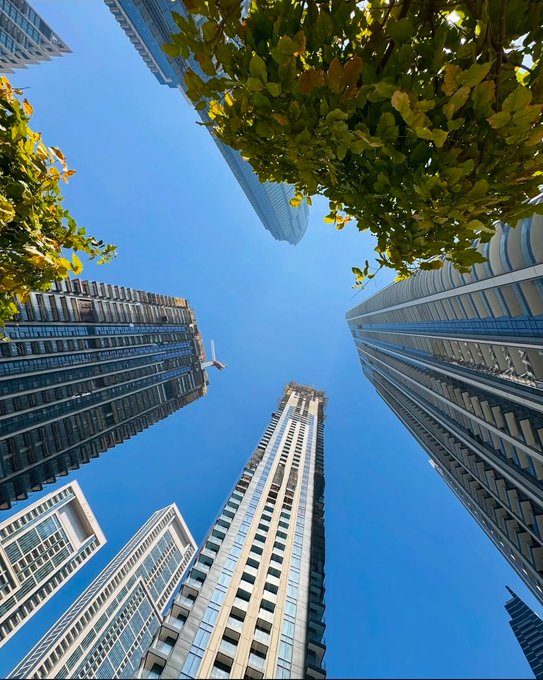 Upward-angle photograph of tall skyscrapers converging against a clear blue sky with green tree foliage framing the shot.
