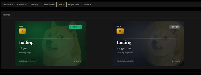 A dark-themed web interface showing a 'DNS' tab with two items: an uncommon 'testing.doge' domain and a common 'testing.dogecoin' domain, each featuring dog illustrations.