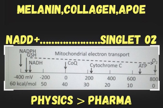 An informational graphic about mitochondrial biology listing terms like 'MELANIN, COLLAGEN, APOE', 'NAD+', 'SINGLET O2', and 'PHYSICS > PHARMA', with a diagram of the mitochondrial electron transport chain.