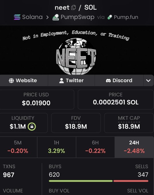 A cryptocurrency token page for 'neet / SOL' on the Solana blockchain via PumpSwap and Pump.fun, showing a NEET (Not in Employment, Education, or Training) globe logo with a price of $0.01900 USD, liquidity of $1.1M, FDV of $18.9M, and 24H change of -2.48%.