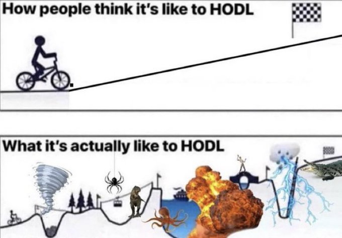 The image shows a cartoon depiction of a person riding a bicycle, with a line drawn above them that reads "How people think it's like to HODL". Below this, there are two different images depicting various scenes related to the concept of cryptocurrency or HODLing. The first image features an octopus and a volcano, while the second image shows a person riding a bicycle on a road with a checkerboard pattern.