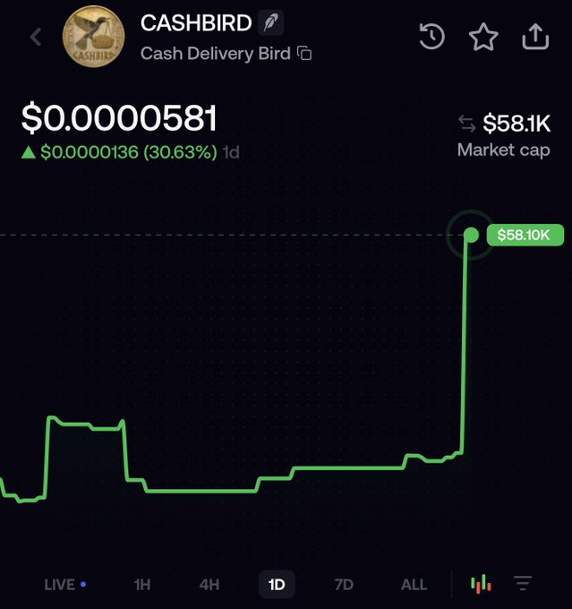 A screenshot of the CASHBIRD (Cash Delivery Bird) token chart shows a price of $0.0000581 with a 30.63% daily gain and a market cap of $58.1K, highlighted by a sharp vertical spike to $58.10K at the right edge. The image illustrates the post's claim of a sudden price surge, which the author attributes to upcoming utility news and growing interest in the cat-themed meme token on letscash.fun.