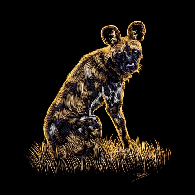A stylized digital illustration of an African wild dog sitting in golden grass against a black background, with detailed brushwork capturing its mottled brown, black, and white fur and large rounded ears.
