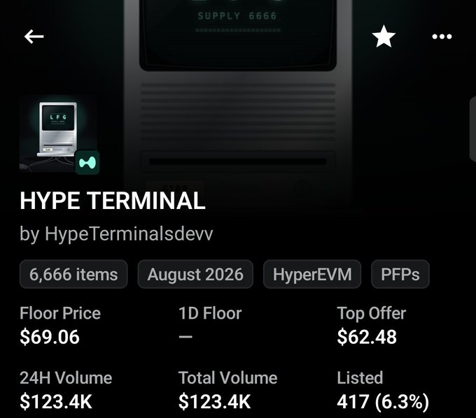 A NFT collection page for 'HYPE TERMINAL' by HypeTerminalsdevv, showing 6,666 items with a floor price of $69.06 and 24H volume of $123.4K.