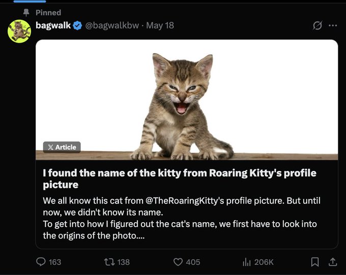 A pinned tweet from @bagwalkbw (May 18) titled "I found the name of the kitty from Roaring Kitty's profile picture," which explains how the author traced the origins of the famous cat photo used in @TheRoaringKitty's profile picture. The post gained 206K views, 405 likes, 163 replies, and 138 retweets, suggesting community interest in uncovering this detail, which aligns with the accompanying post's emphasis on genuine narrative passion shown by the $TYGR developer through early content like this article.