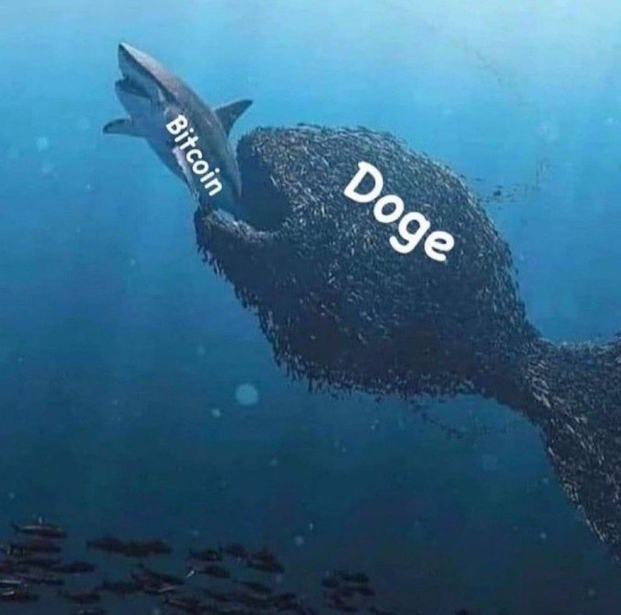 The meme shows a massive school of fish labeled "Doge" swallowing a shark labeled "Bitcoin," visually symbolizing the post's claim that DOGE ($DOGE) will surpass BTC as the leading cryptocurrency by replacing it through mass public adoption. The imagery suggests Dogecoin's accessibility and meme-driven appeal will "eat" Bitcoin's market dominance by onboarding everyday users who find BTC too expensive and complex to understand.
