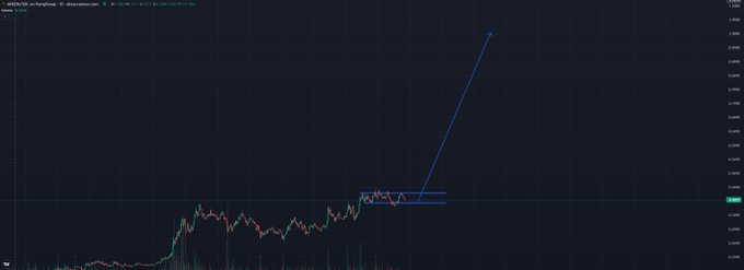 A TradingView chart of $ANSEM on Raydium shows a steep blue projection arrow extending sharply upward from a tight sideways consolidation range near the bottom, visually reinforcing the post's bullish claim that whales are holding and the token is expected to rally past a $1 billion market cap.