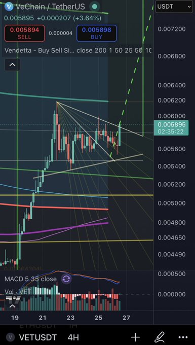 A trading chart of VeChain / TetherUS (VETUSDT) on a 4H timeframe showing current price at 0.005895 (+3.64%), featuring MACD and volume indicators at the bottom.