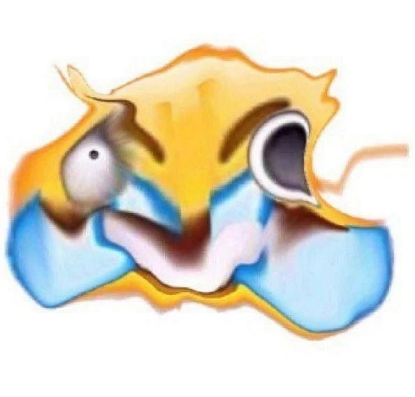A distorted, meme-style image of a Raichu (Pokémon) with a wide open mouth and an exaggerated expression on a white background.