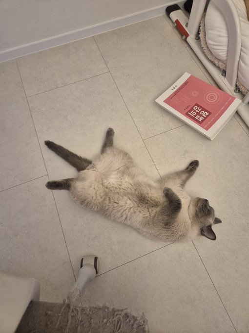 A Siamese cat lying on its back on a tiled floor next to a book with Korean text reading '오구의 첫 만남', with a vacuum cleaner visible at the bottom of the frame.