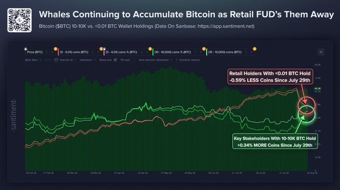 A Santiment chart titled "Whales Continuing to Accumulate Bitcoin as Retail FUD's Them Away" shows that key stakeholders holding 10K-10,000 BTC wallets increased their holdings by +0.34% since July 29th, while retail holders with less than 0.01 BTC decreased their holdings by -0.59% over the same period.