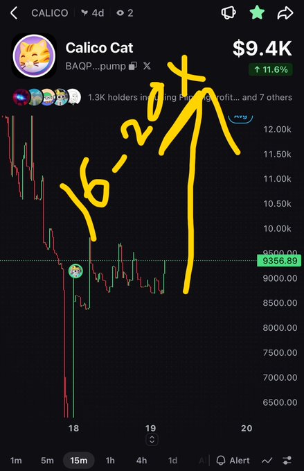 A cryptocurrency chart showing "Calico Cat" with the ticker "BAQP...pump" at $9.4K, up 11.6%, featuring a hand-drawn yellow arrow indicating a price target of '16-24' from the current ~9356 level.