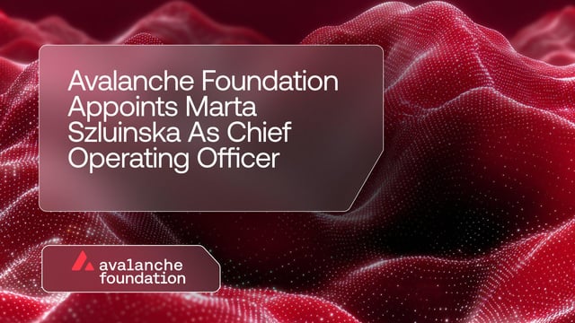 The image features a red mountain with a large, textured surface that appears to be made of small particles or lines. Below the image, there is a block of white text that reads "Avalanche Foundation Appoints Marta Szluinski As Chief Operating Officer". The text and the image are arranged in such a way that they create a visual connection between them, suggesting that the mountain represents the company's name and the text above it represents the title of the post.