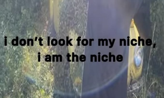 An image of a deer with the overlaid text 'i don't look for my niche, i am the niche'.