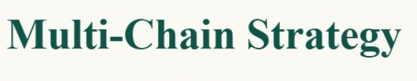 The image features a gray background with white text that reads "Multi-chain strategy" written in green letters. The text is positioned at the top of the image, drawing attention to its message.