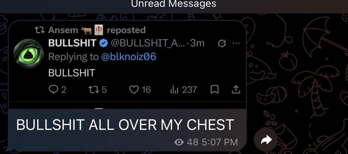 Ansem reposted @BULLSHIT_ANSEM, replying to @blknoiz06 with the word “BULLSHIT”; the post shows 2 replies, 5 reposts, 16 likes, and 237 views. The view has 48 notifications, aligning with the claim that Ansem is actively supporting the account.