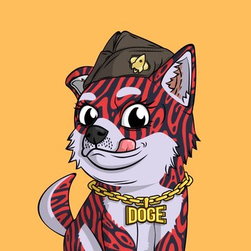 A cartoon illustration shows a dog character with red and black striped fur wearing a dark cap and a gold chain with a "DOGE" pendant against a solid orange background.