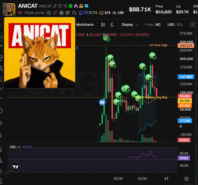 A TradingView chart displays the $ANICAT token (CA ASg9...pump) trading at $88.71K, down 20.60% over a 2-hour period, featuring cat meme artwork and an RSI of 52.81. The chart supports the accompanying analysis by showing multiple wallet cluster buy indicators plotted along the price action, with key levels marked including an All Time High of $250.00K and Holders Average Buy at $84.59K.