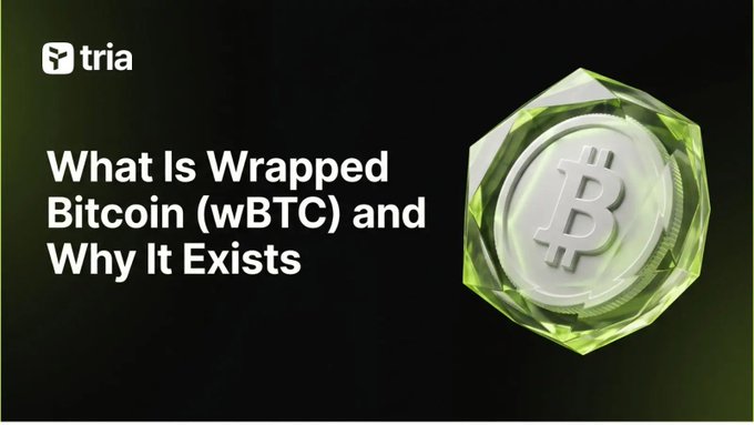 The image is a screenshot of a webpage, which appears to be promoting an ERC-20 token called wBTC. The text "What is Wrapped Bitcoin (wBTC) and Why it Exists" is shown below the image. This suggests that the purpose of this image might be to inform viewers about the benefits of using an ERC-20 token like wBTC, which can help them understand how this digital currency can potentially improve their financial situation or transactions within the DeFi ecosystem.