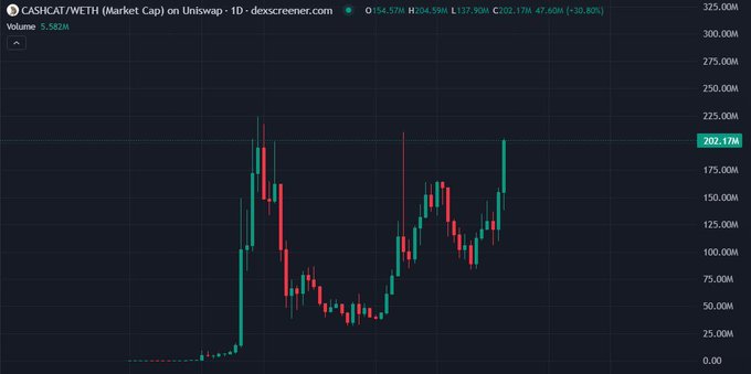 A candlestick trading chart displays CASHCAT/WETH on Uniswap, showing a price of 202.17M with a +30.82% change.