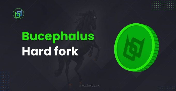 The image is a promotional graphic for Beldex Coin's "Bucephalus Hard fork," featuring a black rearing horse against a dark background, alongside a large green coin displaying the Beldex logo and the website "www.beldex.io." This visual ties directly to the post, as Bucephalus—named after Alexander the Great's legendary steed—is Beldex's Proof of Stake consensus mechanism that randomly selects validators every 30 seconds to propose and review blocks.