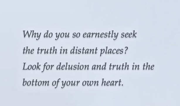 An image displays an italicized quote on a light blue background reading: "Why do you so earnestly seek the truth in distant places? Look for delusion and truth in the bottom of your own heart."

The image serves as a reflective counterpoint to the post's cynicism about crowd-driven hype cycles, suggesting the poster first look inward at their own motivations for chasing speculative trends before judging others.