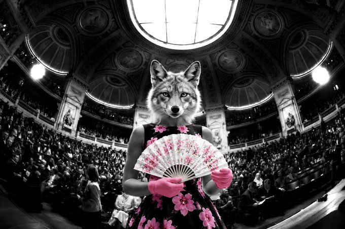 Surreal black-and-white image of a figure with a wolf's head wearing a floral dress and holding a pink fan in a grand domed theater filled with an audience.