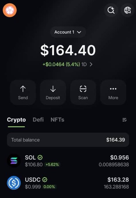 A cryptocurrency wallet app interface displaying a total balance of '$164.40' with a '+5.4%' 1D change, showing holdings in 'SOL' at '$106.80 (+5.62%)' and 'USDC' at '$163.28'.