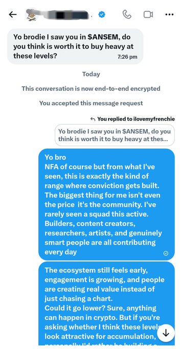 A screenshot of an Instagram DM exchange where someone asks the account holder if they think $ANSEM is worth buying heavy at current levels, to which they reply NFA but highlight strong conviction in the project's builders, creators, and engaged community as reasons for accumulation regardless of price.