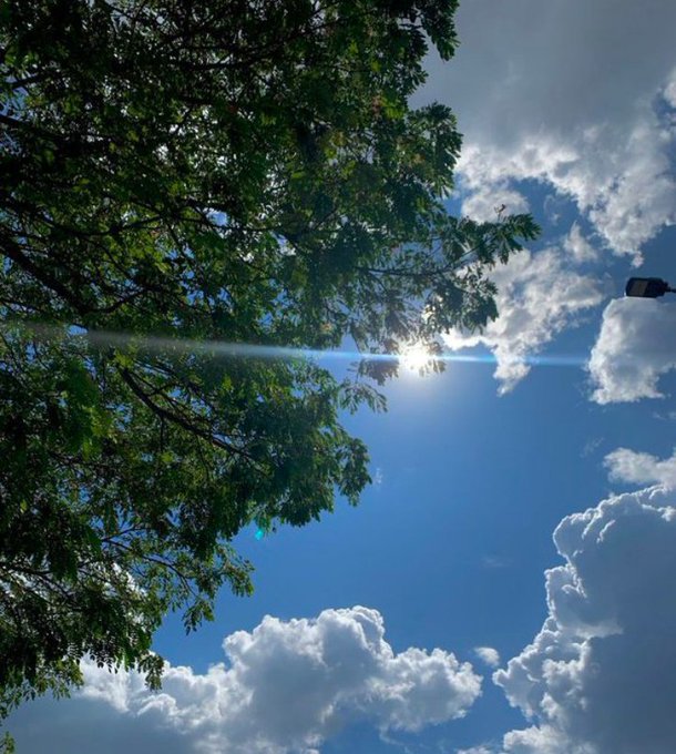 A low-angle photograph looking up through green tree branches at a bright sun shining through scattered white clouds in a blue sky, with a streetlamp visible on the right.