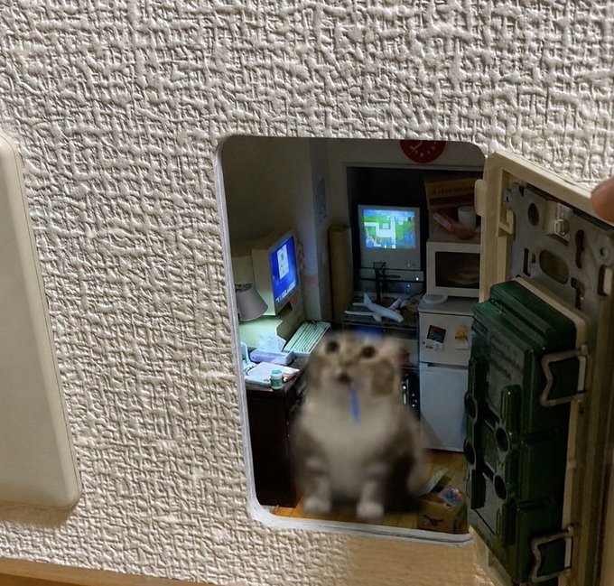 A real cat photographed behind a cutout in a cardboard cat-house door, with the miniature cat appearing blurry while a tiny room scene with a computer monitor and refrigerator is visible behind it.