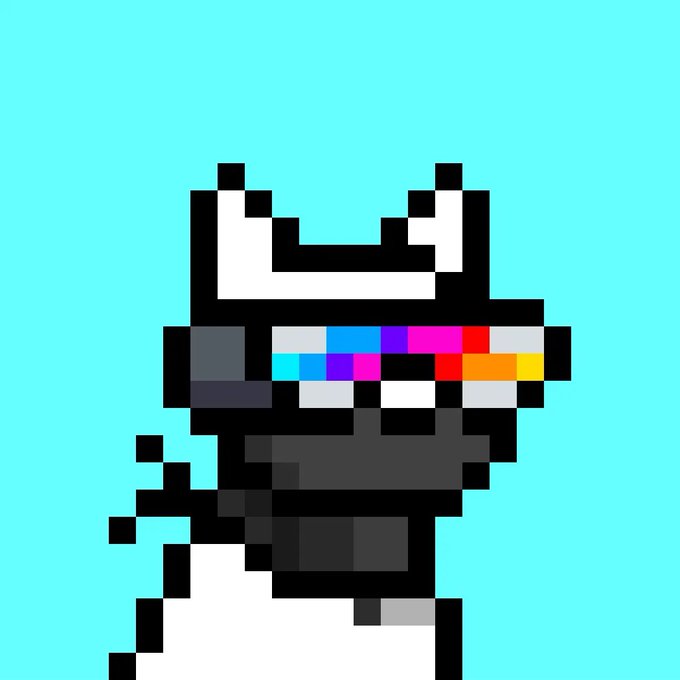 Pixel art of a black cat wearing colorful rainbow sunglasses against a solid turquoise background.