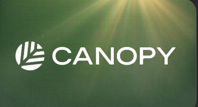 The image displays the Canopy Network logo with "CANOPY" text and a stylized circular emblem on a green textured background, directly representing the @CNPYNetwork blockchain project referenced in the post about its Nested Chains model.
