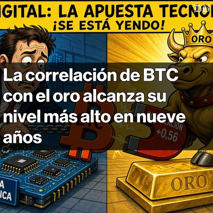 A Spanish-language news graphic headlined "La correlación de BTC con el oro alcanza su nivel más alto en nueve años," showing a sweat-drenched man, a Bitcoin logo, a circuit board, and a crowned bull representing gold, with a +0.56 correlation displayed.