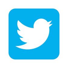 The image shows the classic Twitter bird logo, a visual representation of the "bird logo" that Elon Musk is implied to have changed or removed. This is why Elon killed the bird logo.