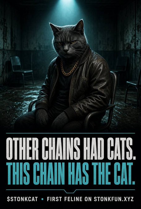 A stylized promotional poster featuring a serious gray cat wearing a leather jacket and gold chain, with the text 'OTHER CHAINS HAD CATS. THIS CHAIN HAS THE CAT. $TONKCAT • FIRST FELINE ON STONKFUN.XYZ'.