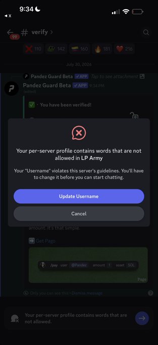 A screenshot of a mobile app showing a Discord error message: 'Your per-server profile contains words that are not allowed in LP Army' with an 'Update Username' button on a verification channel.
