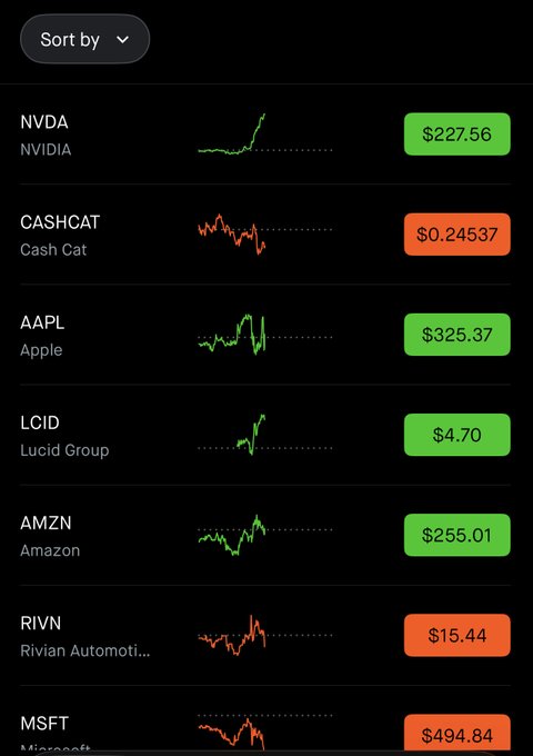 A Robinhood watchlist displays tickers like NVDA ($227.56), CASHCAT ($0.24537), AAPL ($325.37), LCID ($4.70), AMZN ($255.01), RIVN ($15.44), and MSFT ($494.84), with the newly listed low-priced "Cash Cat" (CASHCAT) appearing alongside major stocks like Nvidia, illustrating the post's point about pump schemes artificially boosting a token's visibility.