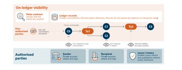 An infographic explaining 'On-ledger visibility' for Authorised parties, showing flow steps C1–C7 across 'Issuer/authorised parties,' 'Ledger records,' and 'Authorised parties' (Sender, Recipient, Issuer/notary), detailing on-chain token issuance, ledger validation, and privacy via zero-knowledge proofs.