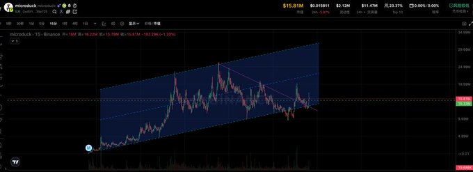 The image shows a TradingView chart of $microduck on Binance (MICRODUCK/USDT) priced at $15.78M, displaying a wedge pattern with price action oscillating between roughly $8M and $24M, accompanied by a -5.20% daily change noted as 24H +12.29%. The chart visually supports the post's claim that microduck is a speculative altcoin worth monitoring, showing significant volatility and consolidation within an upward channel.