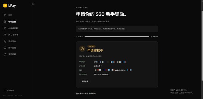 The image shows the bPay website claiming interface with Chinese text reading "申请你的 $20 新手奖励" (Claim your $20 Newbie Reward), displaying a review status panel with personal details like gender, age (37), language (粤语上传), location (41286003ce), and a pending review note with verification code "BP19BACB0AADAC". The sidebar navigation includes options for homepage, my earnings, points plan, A.V creator, merchant services, wallet guide, and common problems, matching the post's description of a Binance Square profile verification process to claim the $20 reward.