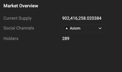 A digital 'Market Overview' panel displays a Current Supply of '902,416,258.020384', 289 Holders, and a Social Channels dropdown showing 'Axiom'.