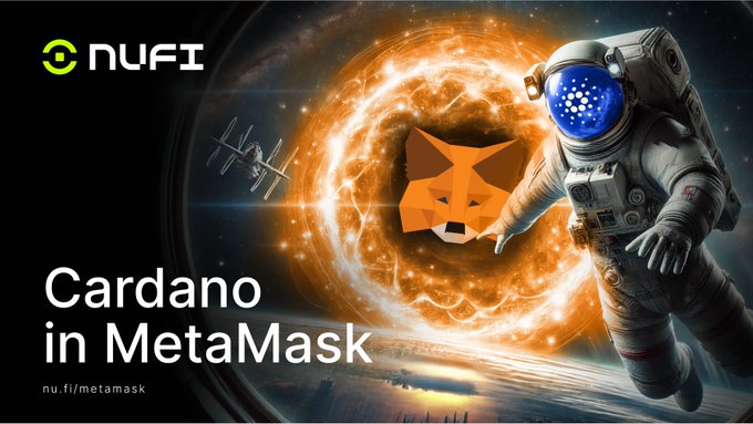 The image features a man wearing an astronaut suit who appears to be floating in space with a large orange circle in front of him, which has a fox inside. The background of the image shows a spaceship flying through outer space. Below this scene is a banner that reads "Cardano in Metamask" and includes a link to the post where it says "with Layer Zero @LayerZero_Core coming to Cardano you have multi-chain wallets such as Metamask and Brave that support Cardano, Ethereum, Solana, and many other chains - for single wallet users".