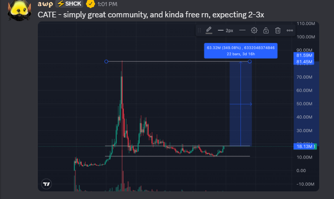A Discord message in a crypto channel analyzing 'CATE', stating 'simply great community, and kinda free rn, expecting 2-3x' alongside a candlestick chart showing a 346.08% gain.