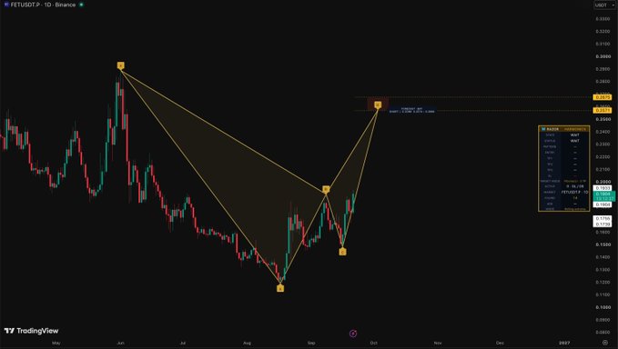 A TradingView chart of FET/USDT on Binance showing a technical analysis with what appears to be a harmonic pattern (Gartley or similar) drawn with yellow trendlines on a daily timeframe chart.