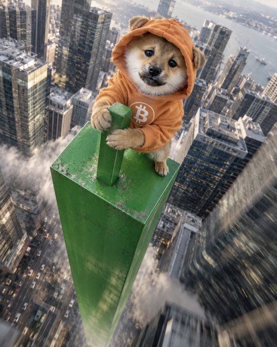 A small dog wearing an orange Bitcoin-logo hoodie clings to the top of a green skyscraper spire high above a sprawling cityscape.